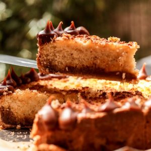 Tarta de coco humeda x12