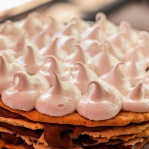 Rogel x12