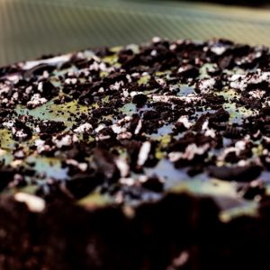 Torta Oreo x12